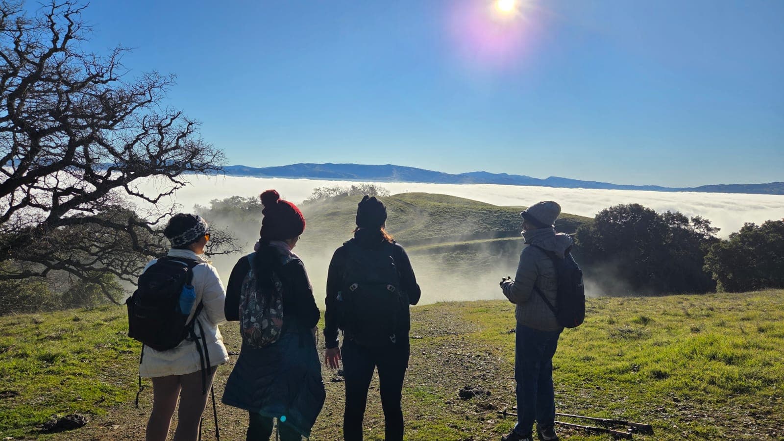 Epic mountain adventures and scenic views